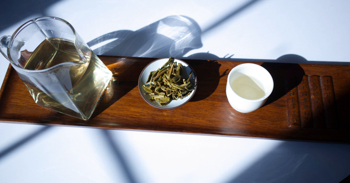 Best Selling Classics And New Fresh Specials